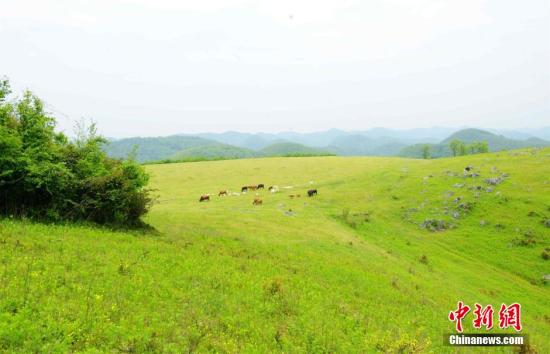 2020年全球各国面积_钜派投资集团协办“2020中国经济论坛”圆满落幕