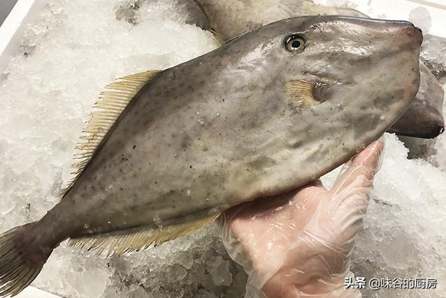 买鱼时 专挑这5种野生鱼 人工无法养殖 卖鱼的都夸你是行家 鱼 小黄花鱼 养殖 新浪新闻 买鱼时 专挑这5种野生鱼 人工无法养殖 卖鱼的都夸你是行家 鱼 小黄花鱼 养殖 新浪新闻