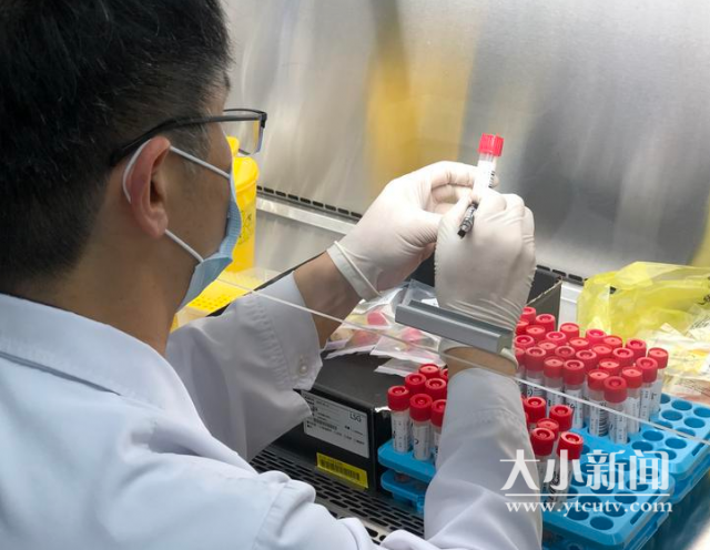 分子生物学检测