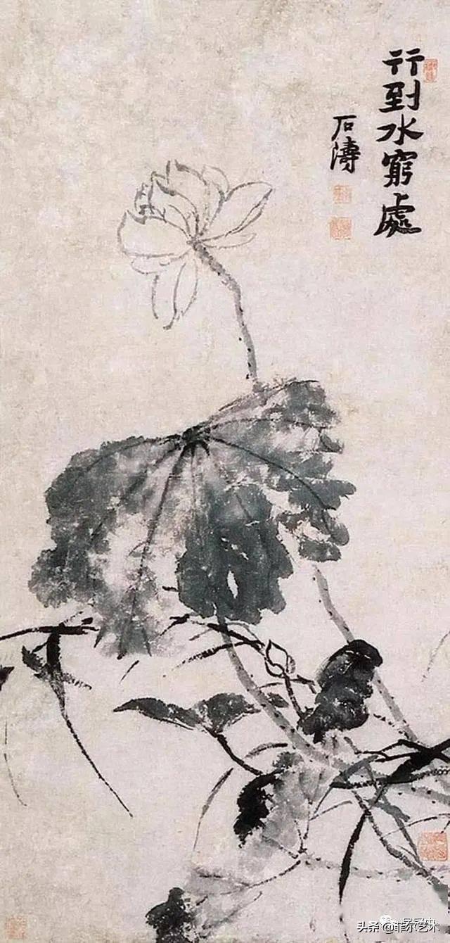 「国画欣赏」赏石涛泼墨荷花,真过瘾