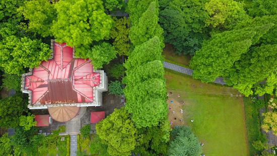 南通2020高考状元的_江苏省文科状元出在南通!2019,南通各大高中高考成绩(2)