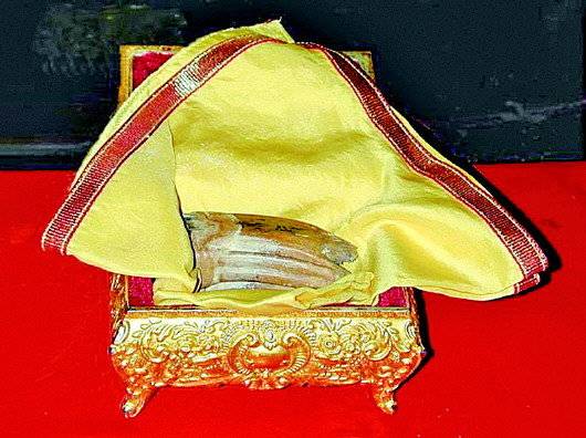 镇馆之宝|汶上宝相寺佛舍利,八百年后重见天日的佛教圣物