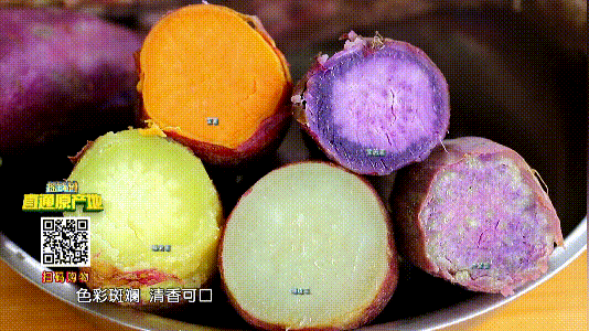 试试阳西五彩薯,又软又糯甜如蜜