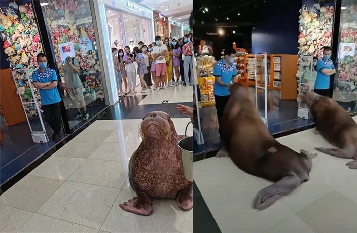 部署高超音速导弹,美军在第一岛链展开行动