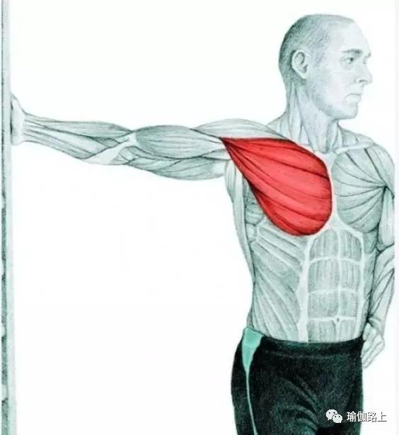 练瑜伽,为什么大臂外旋那么重要?(收藏级)