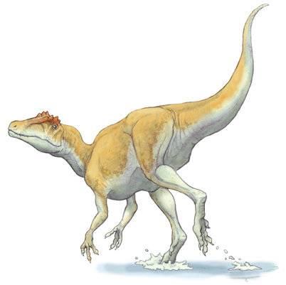 三角洲奔龙:超速杀手还是呆萌吃货?