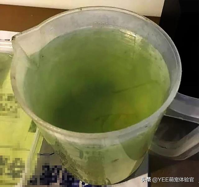新浪网
