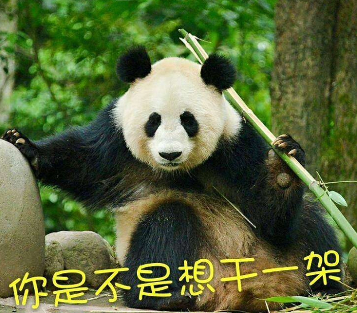 好像就差一只熊猫了现在,竹子有了"想开点,竹子代表节节高""真是绿到