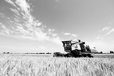 全国大规模小麦跨区机收全面展开。新华社发