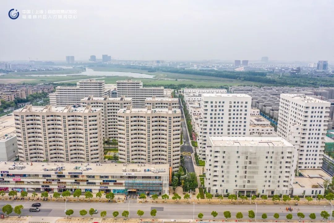 【便民】临港新片区限价房实景航拍来啦!附申请流程