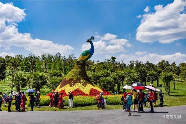 全国超市排行_沃尔玛在中国大型超市排名下滑至第4位