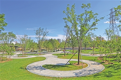 十八里店小武基公园。北京市朝阳区委宣传部供图