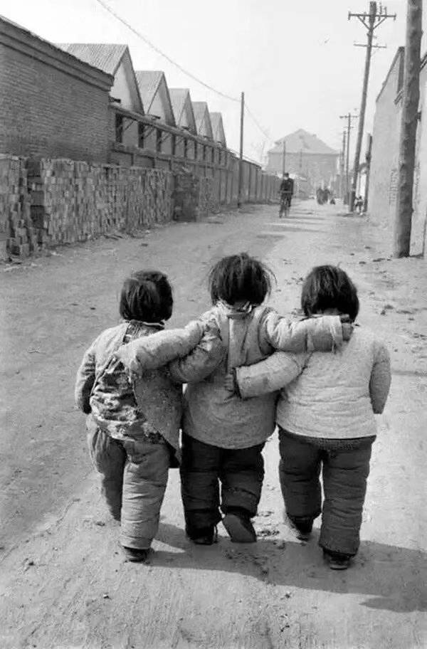 亲历芒种日|难忘儿时"看青"人 捡拾麦穗"历险记"!