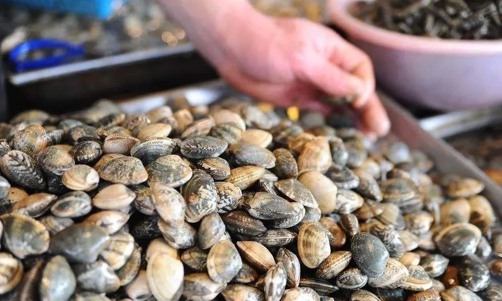 (网络配图)↘常见贝类毒素有腹泻性,麻痹性,神经性和记忆缺失性等,以