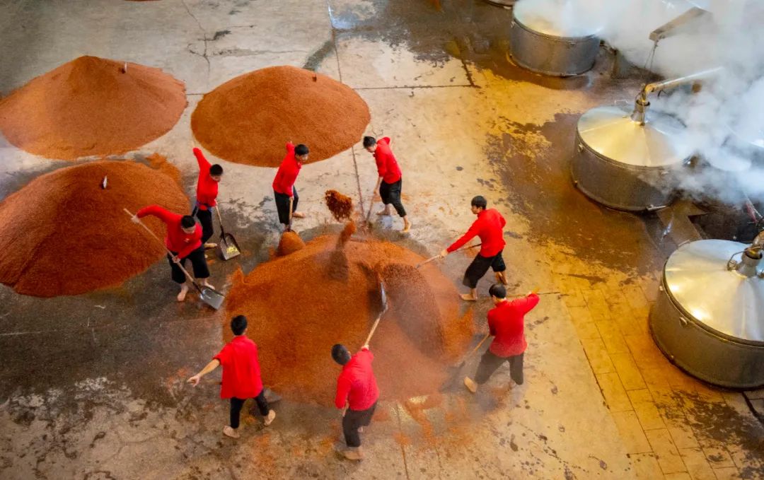 郎酒传统酿造工艺——重阳下沙周平摄