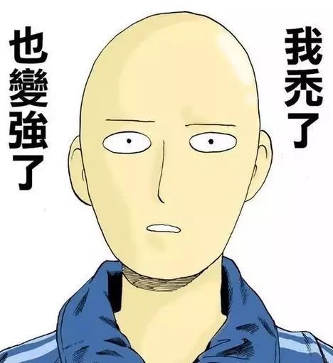 秃顶率最高的十大专业第一个就是物理哈哈哈哈哈哈哈哈哈哈
