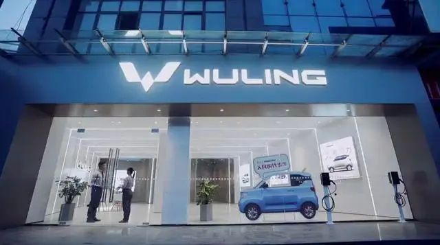 乐视退市海马卖房,众泰被放假华晨被执行 | 最大赢家必须是五菱战车