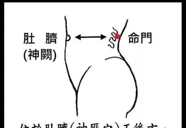 腰间盘突出太难受?这样东西在酒里泡一泡,腰痛不再有!