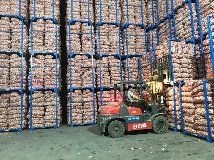 靠大蒜住上别墅的山东金乡崔口人