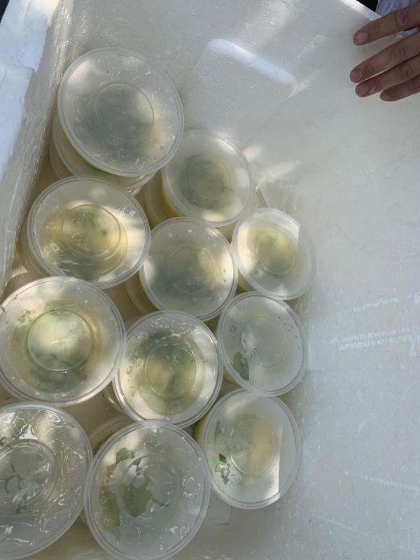 聚焦“互联网+养老助餐配餐”服务，他们解决了老人的“吃饭”难题