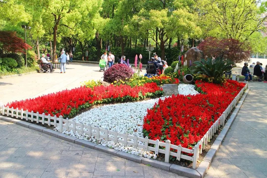 探索 申城这些花坛花境等你来欣赏 一大波美图来袭 绿地 新浪财经 新浪网 探索 申城这些花坛花境等你来欣赏 一大波美图来袭 绿地 新浪财经 新浪网