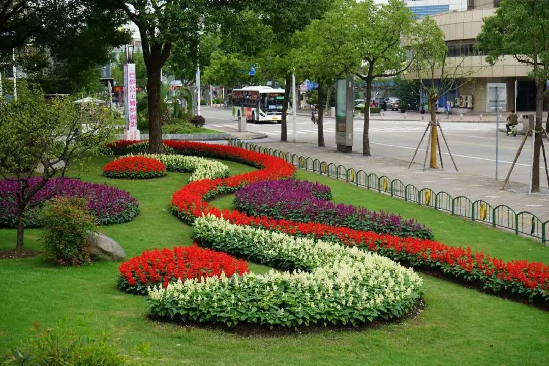 探索申城这些花坛花境等你来欣赏一大波美图来袭