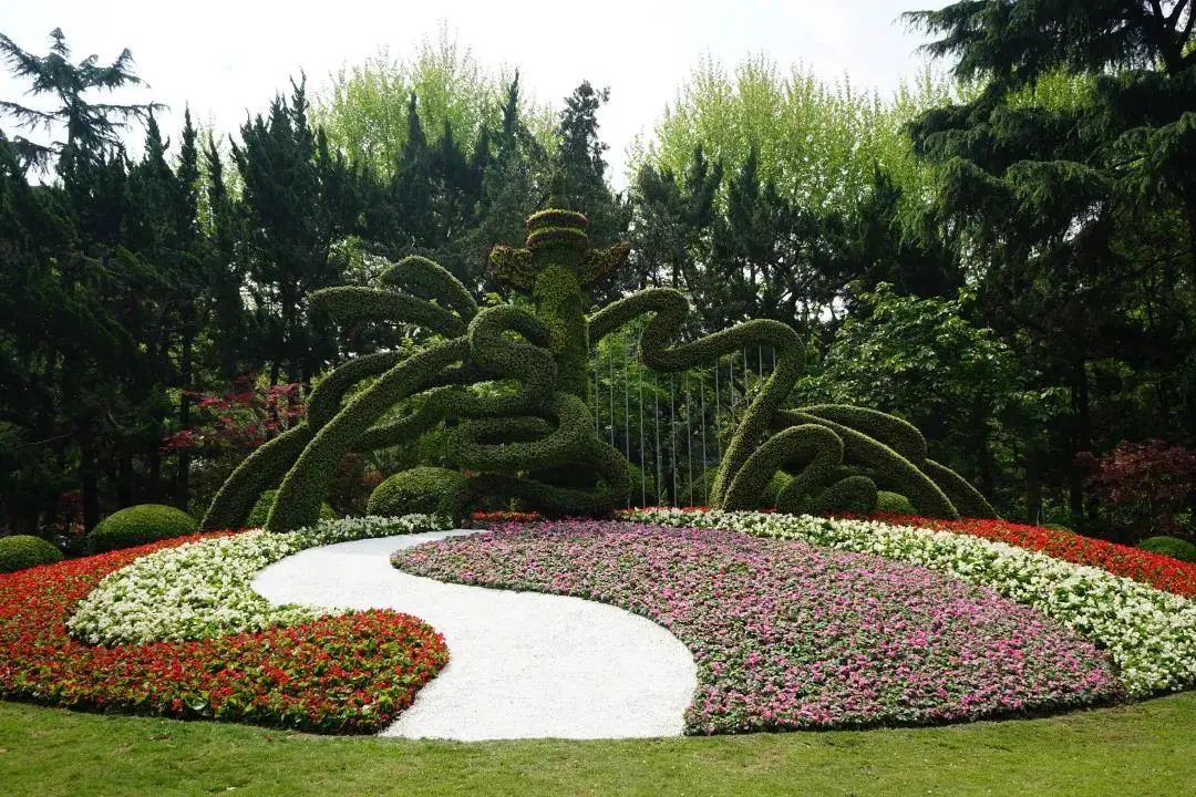 探索申城这些花坛花境等你来欣赏一大波美图来袭