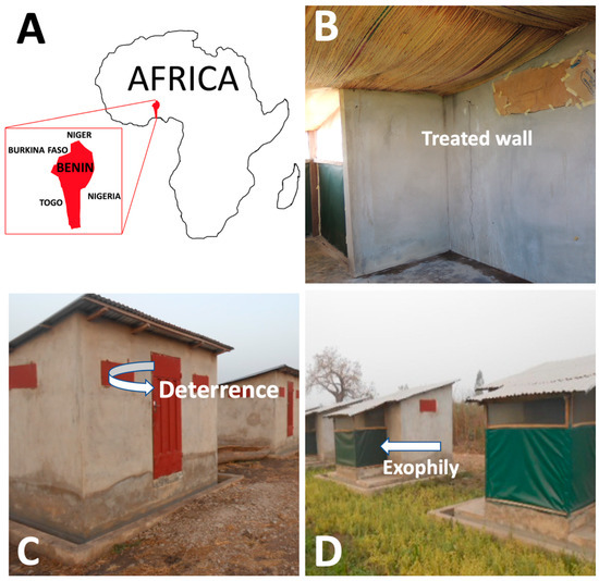 杀蚊子的喷雾剂排行榜_超长梅雨季导致蚊子增多上海将集中灭蚊三个月