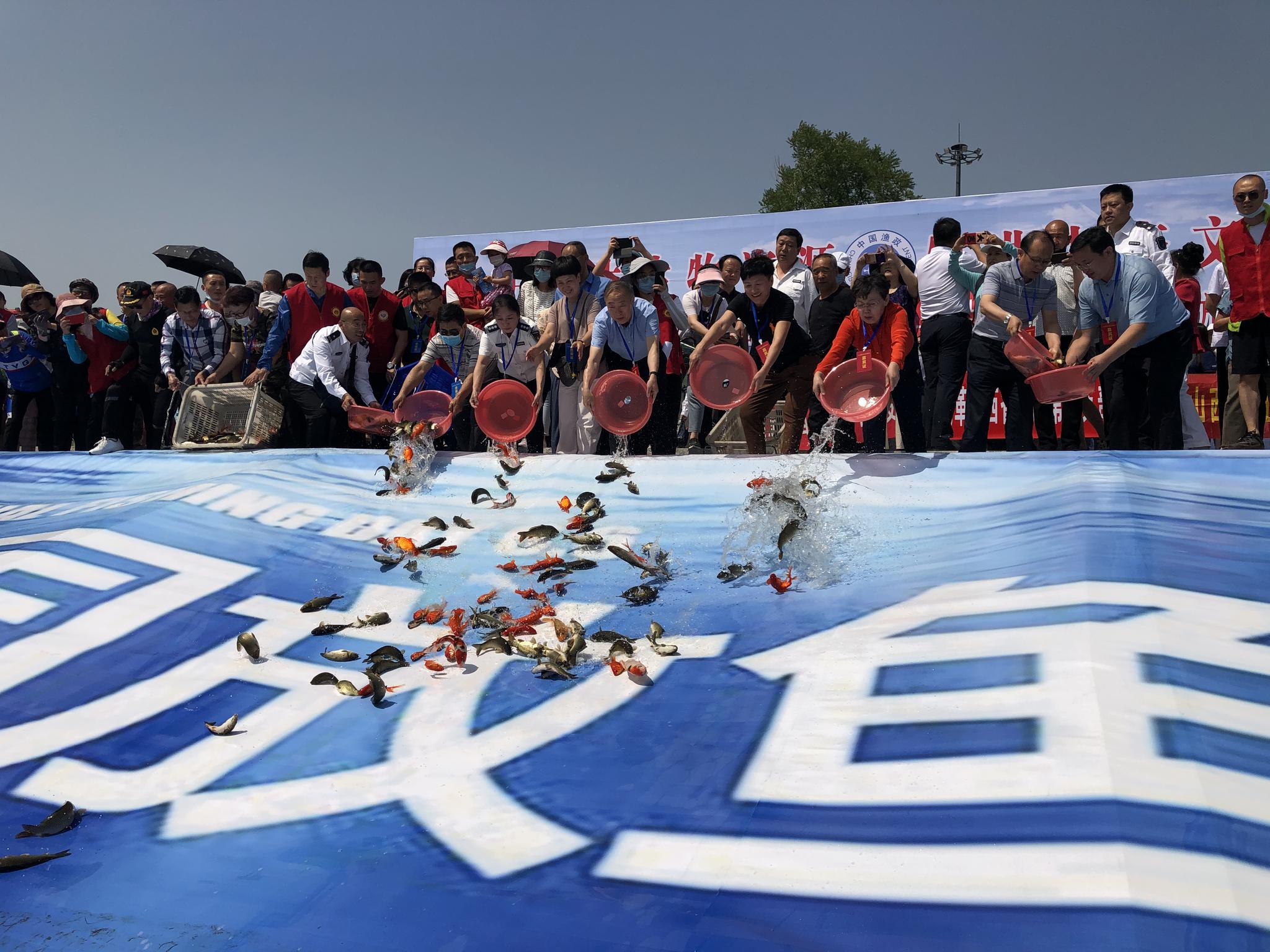 20余万尾鱼儿"放鱼日"汾河公园入水