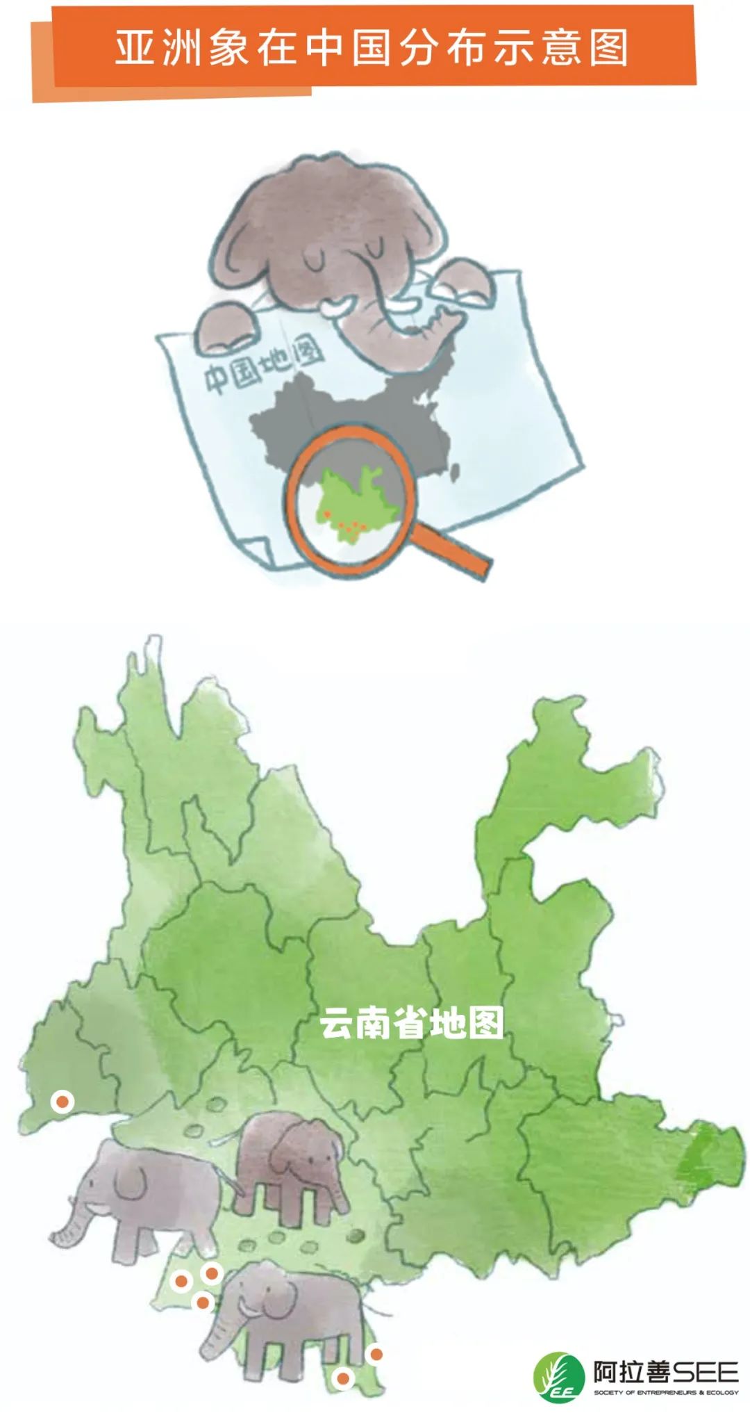 为什么你从没见过一只真正的野生亚洲象