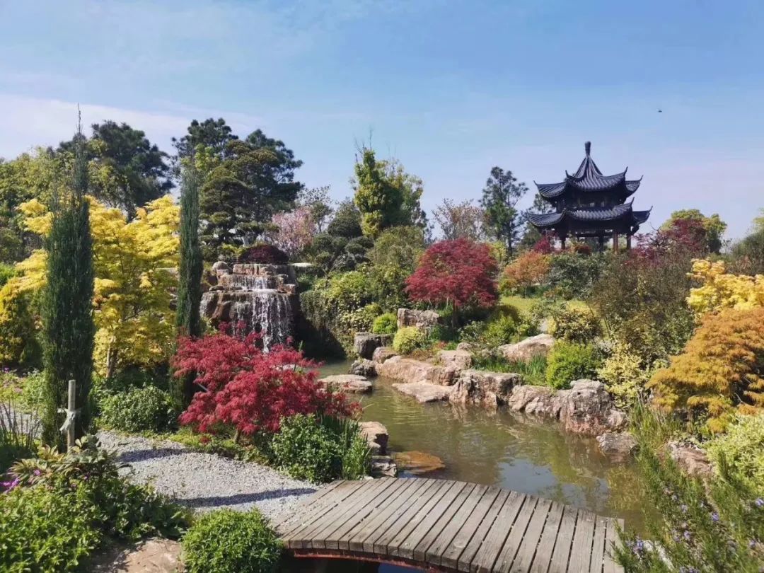 所有人!梦华苑门票免费送,水果免费吃!6月这里花开成海,美若仙境!