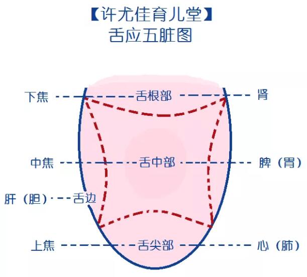 宝宝舌头尖尖是肝气郁结表现,2碗汤告别"小鸟舌"