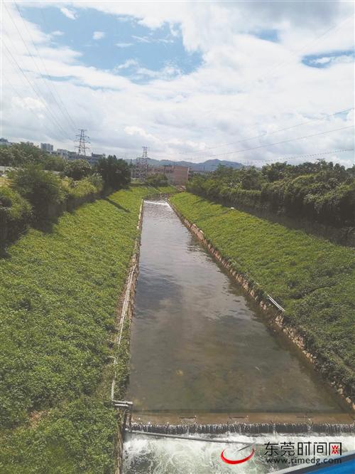 东引运河流域加快推进初雨调蓄池建设