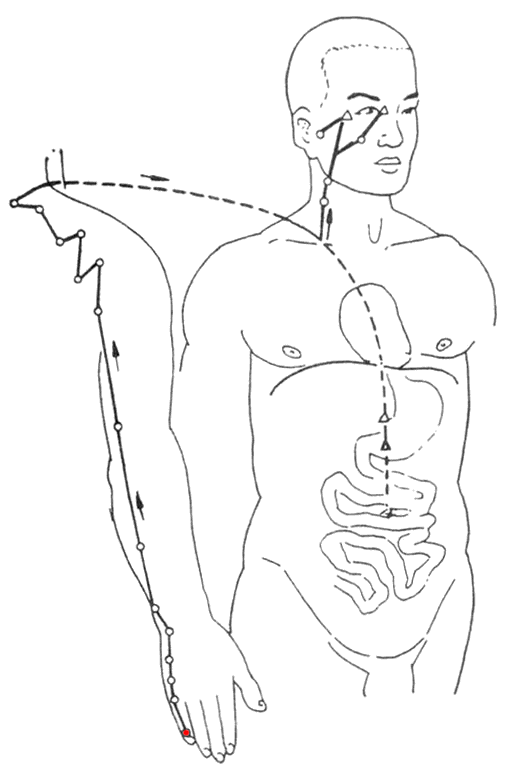 中医认为,颈椎问题可不是颈椎的骨头问题,而是经络问题.