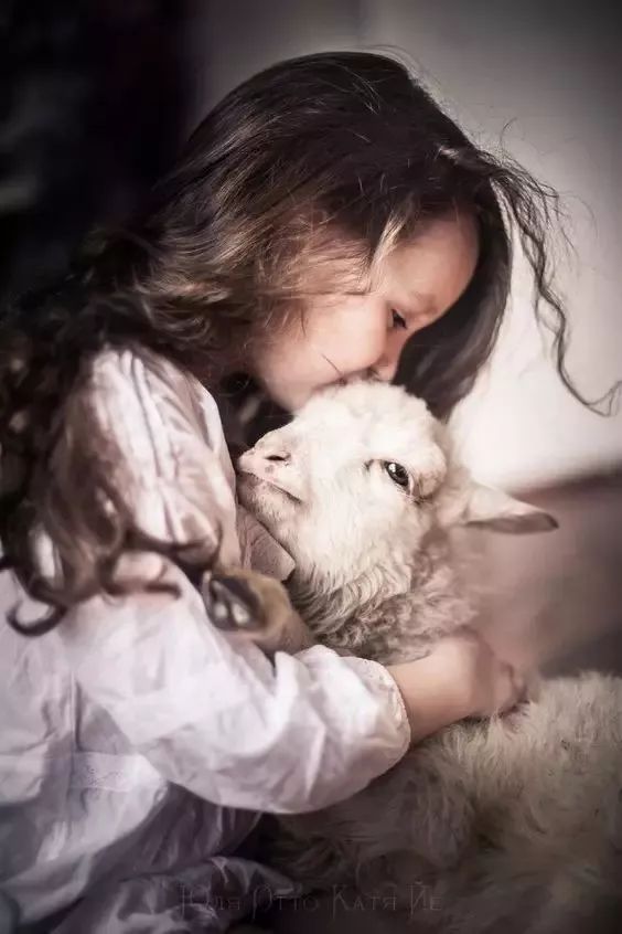 这是一首写给小孩的歌,却治愈了整个世界