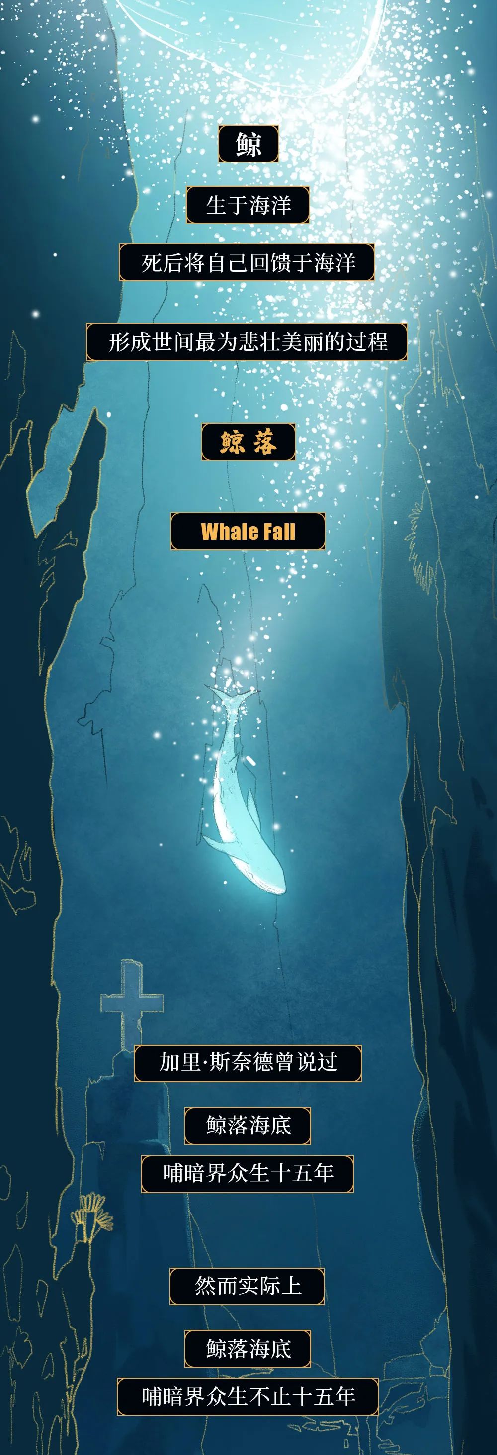 一鲸落万物生伤感图片