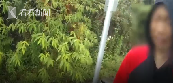 暴发表示不明病亡病例无症