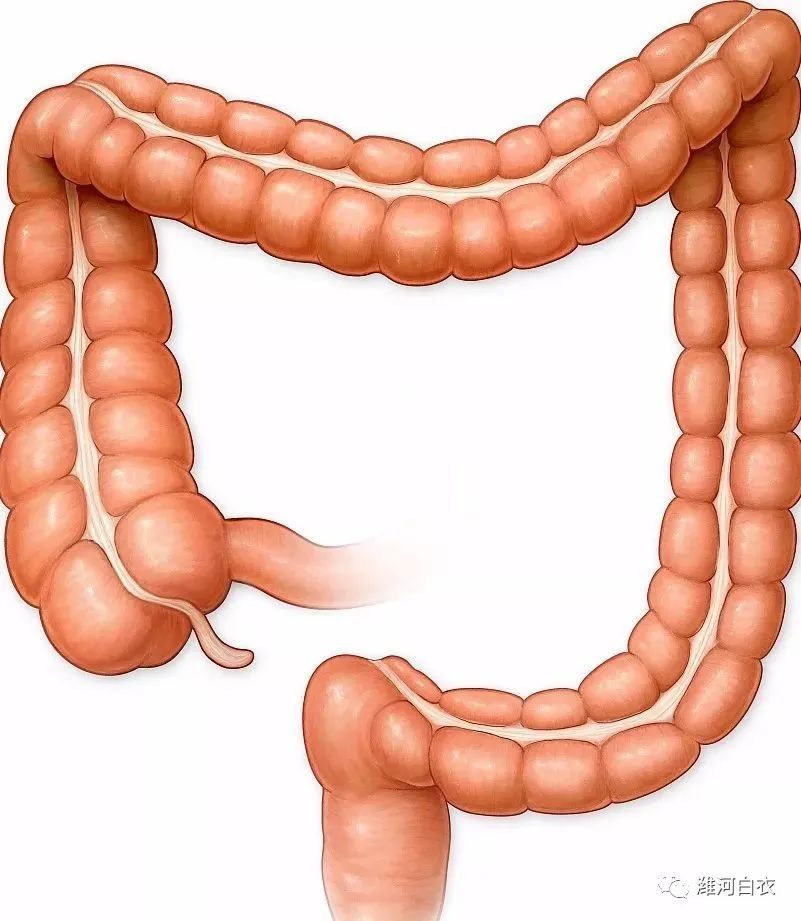 相面与面诊(三)建议收藏|肝功能|子宫_新浪新闻