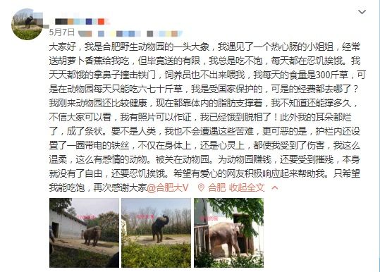 荷兰两分彩技巧