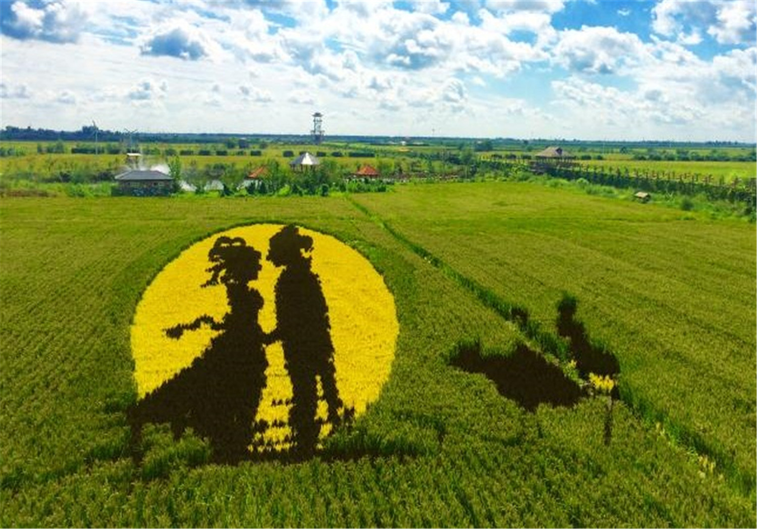 中国农民投身创意农业产业