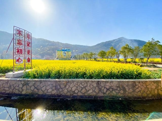 洞头区大门镇——一份"红黑榜" 开启大门田园"美丽密码"