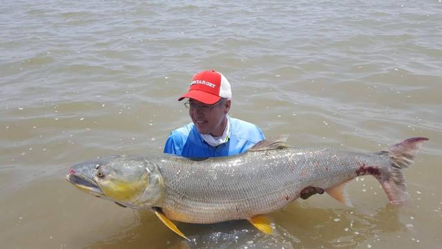 我国原生猛鱼,水中有它存在不会有其它鱼残存|鱼|鳡鱼|狗鱼_新浪新闻