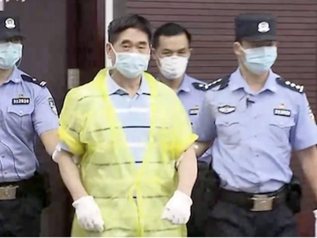 上海二中院受理原新城控股董事长王振华涉猥亵儿童上诉一案