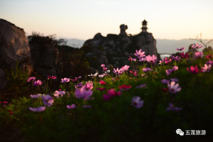 2020五莲县gdp_2020日照各区县GDP(2)