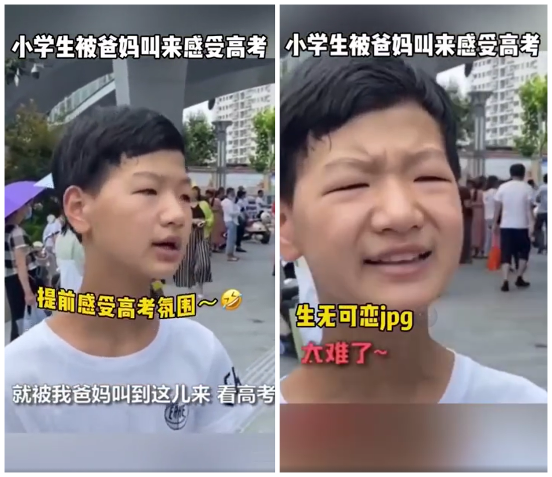 育儿热搜 太难了 乘风破浪的小学生集合 小学生 截图 育儿 新浪新闻