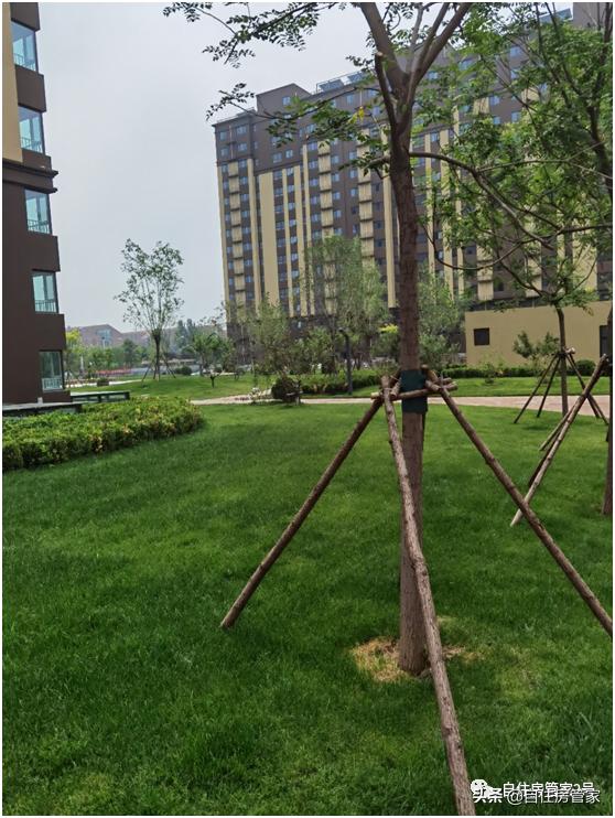 经济开发区亦城亦景家园交房在即总体不错有点商品房的样子