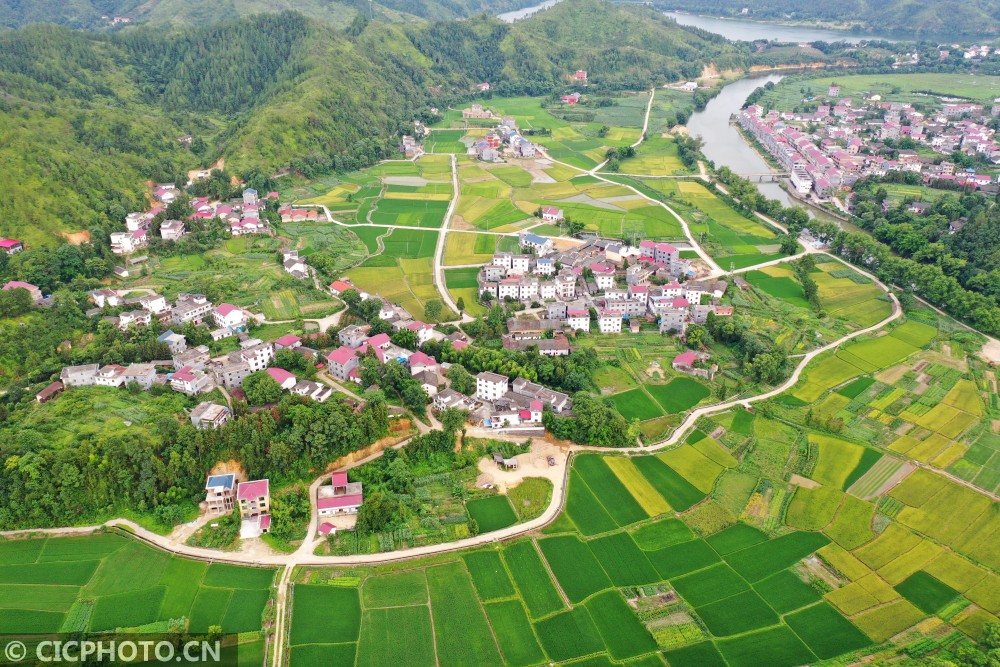 江西万安:夏日乡村田园(航拍)|万安|万安县|吉安市_新浪新闻