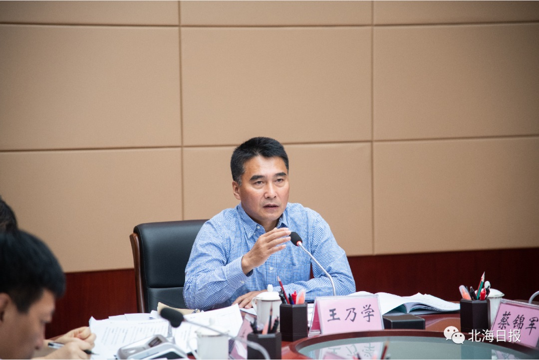 王乃学:继续以抓项目建设为龙头|王乃学|北海|开发区_新浪新闻