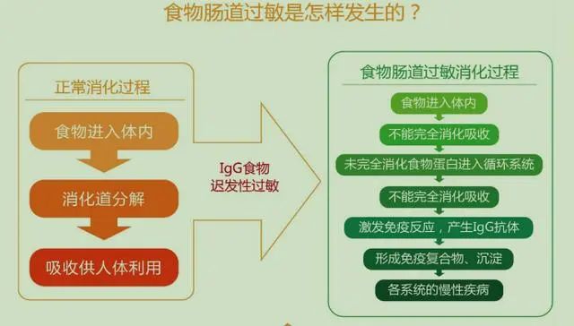 盘点食物过敏吃什么药?食物过敏吃什么药