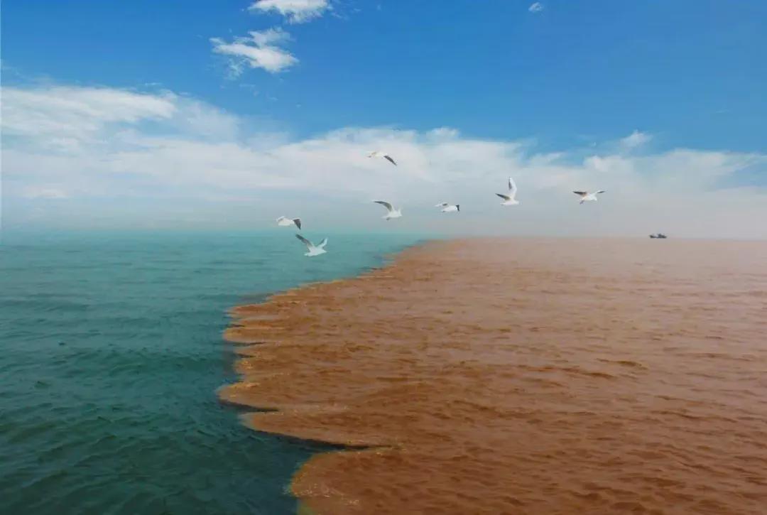 站到"黄河入海口"石碑处,拍一张具有纪念意义的照片.